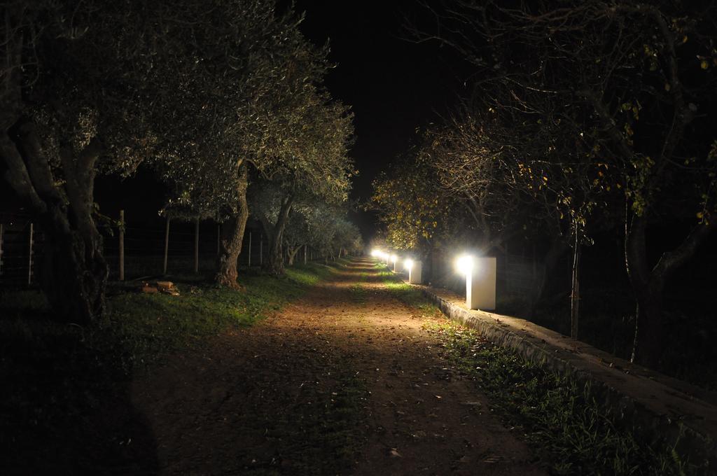 Quinta Da Sardinha Villa Elvas Kültér fotó